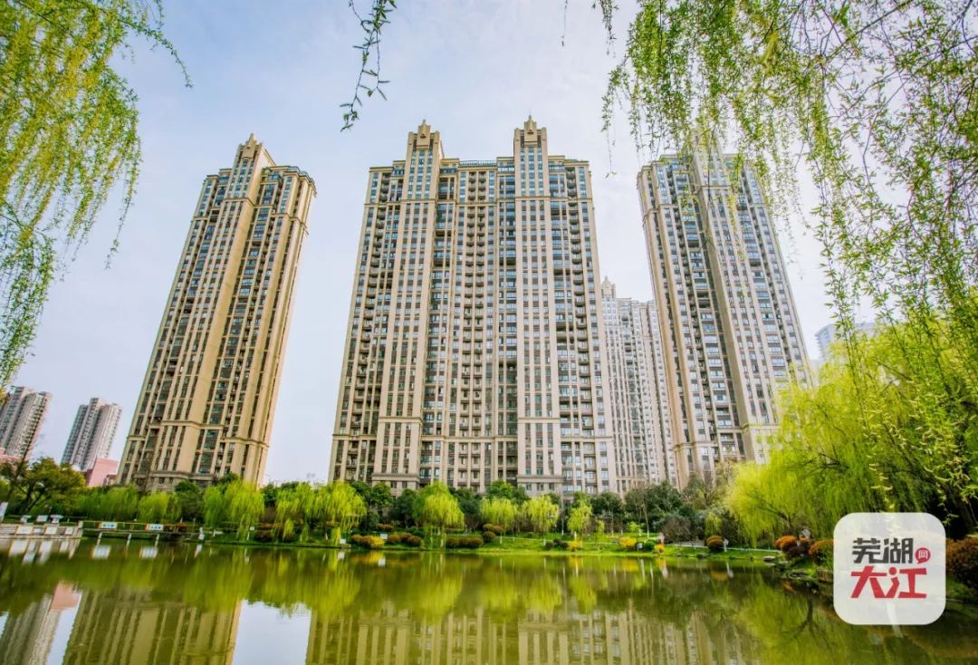 芜湖市区人口有多少人_芜湖有多少个区(2)