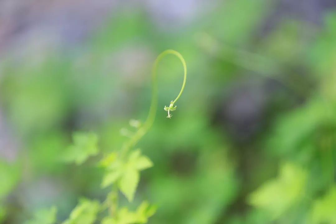 ef616f780f754790b1d24cec2d276fef.jpeg