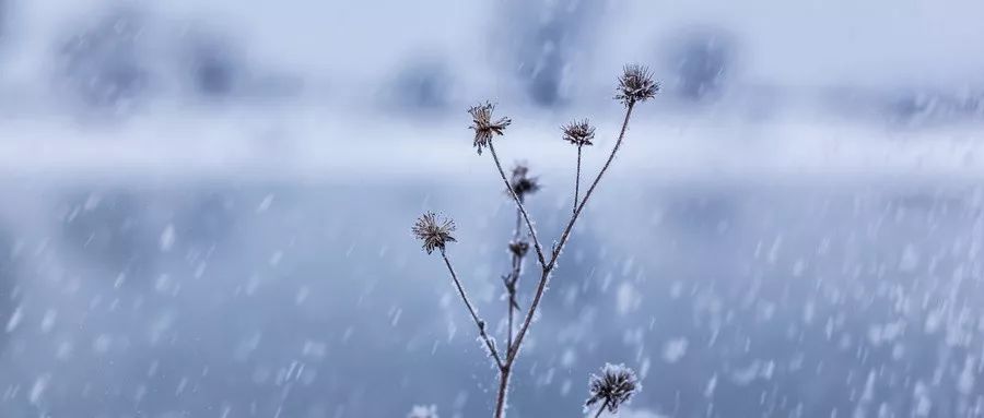 这10首咏雪诗词,不带一个雪字,却写尽雪之美!