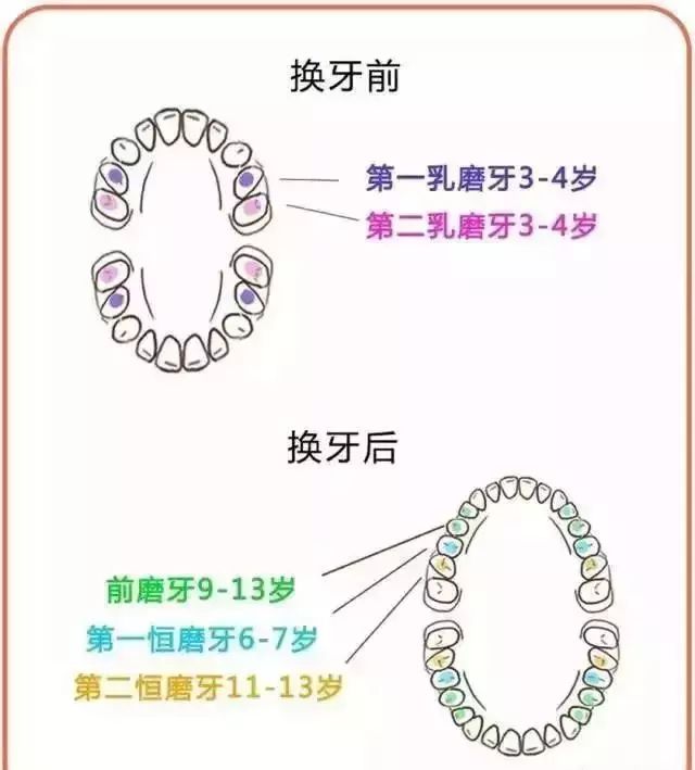 什么时候做窝沟封闭最好 05ad3f9a6adf4d4daec7284e086e311a.jpeg