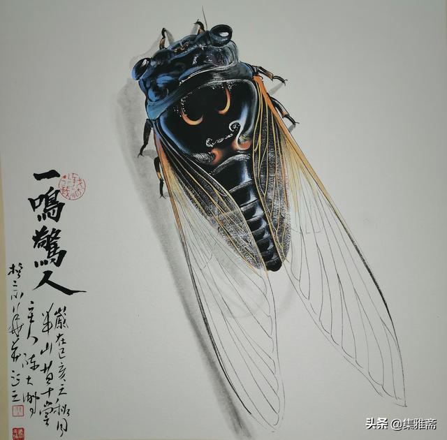 陈大鹏中国画蝉第一人
