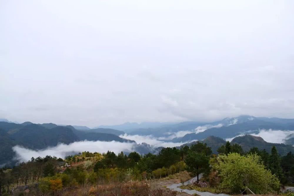 风山人口多少_博社村人口多少(2)