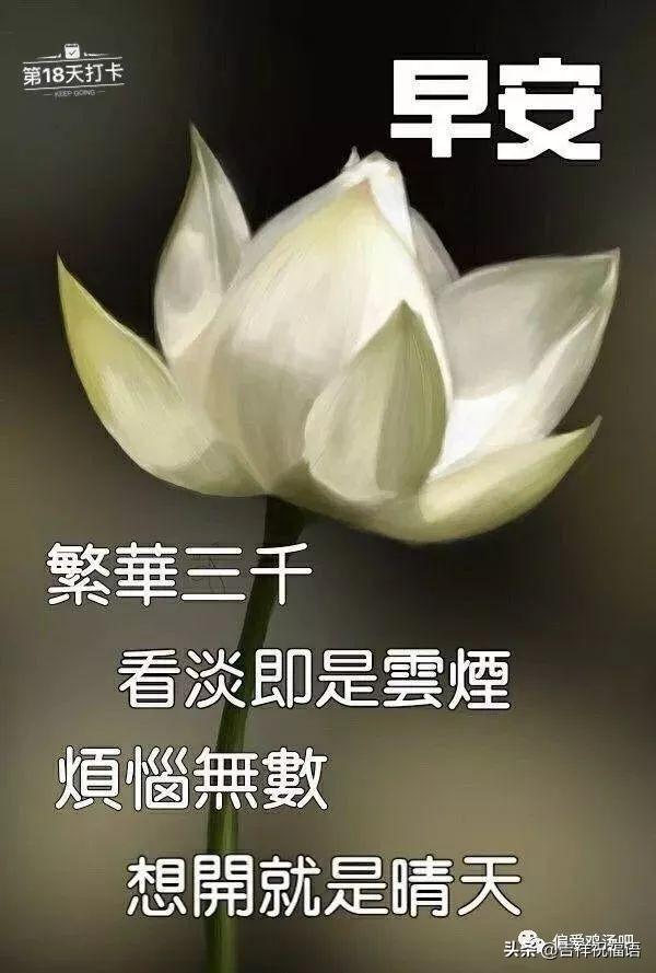 早上好图片大全