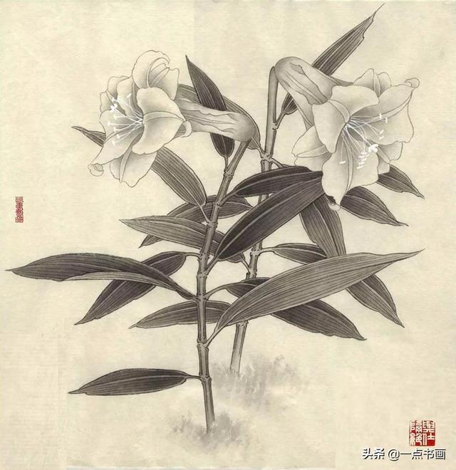 李晓明的工笔花鸟画真是恰到妙处