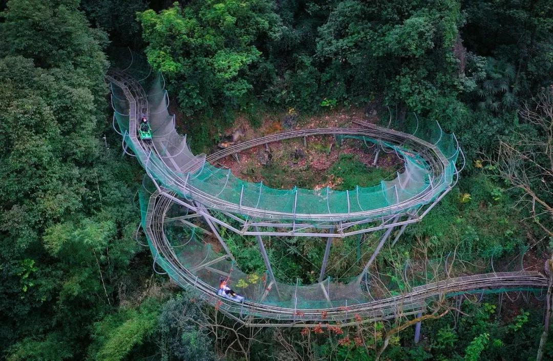 重庆旅游丨巴南有这么多宝藏景点,不愧是主城休闲游的好去处