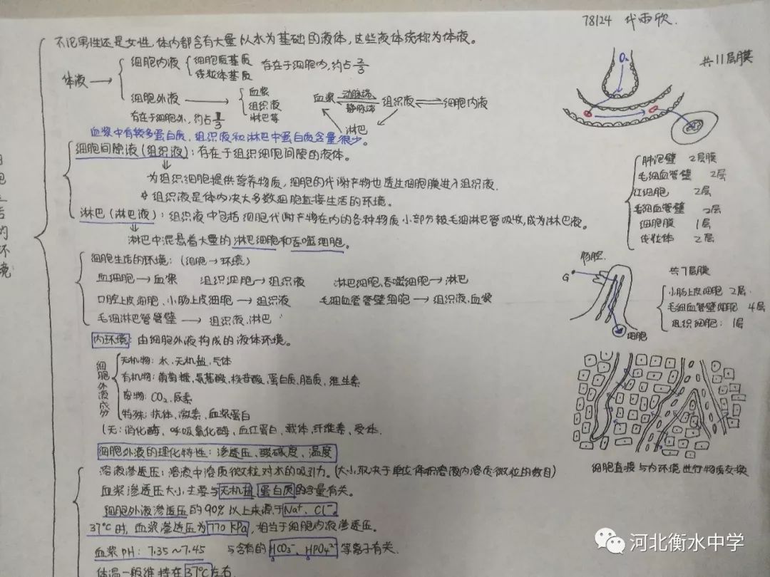 本什么体成语_成语故事图片(3)