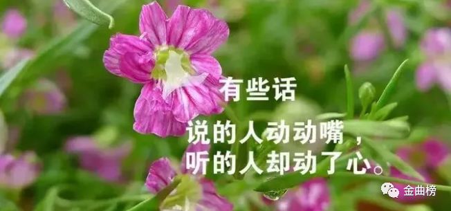 一生相伴简谱_相伴一生简谱歌谱(2)