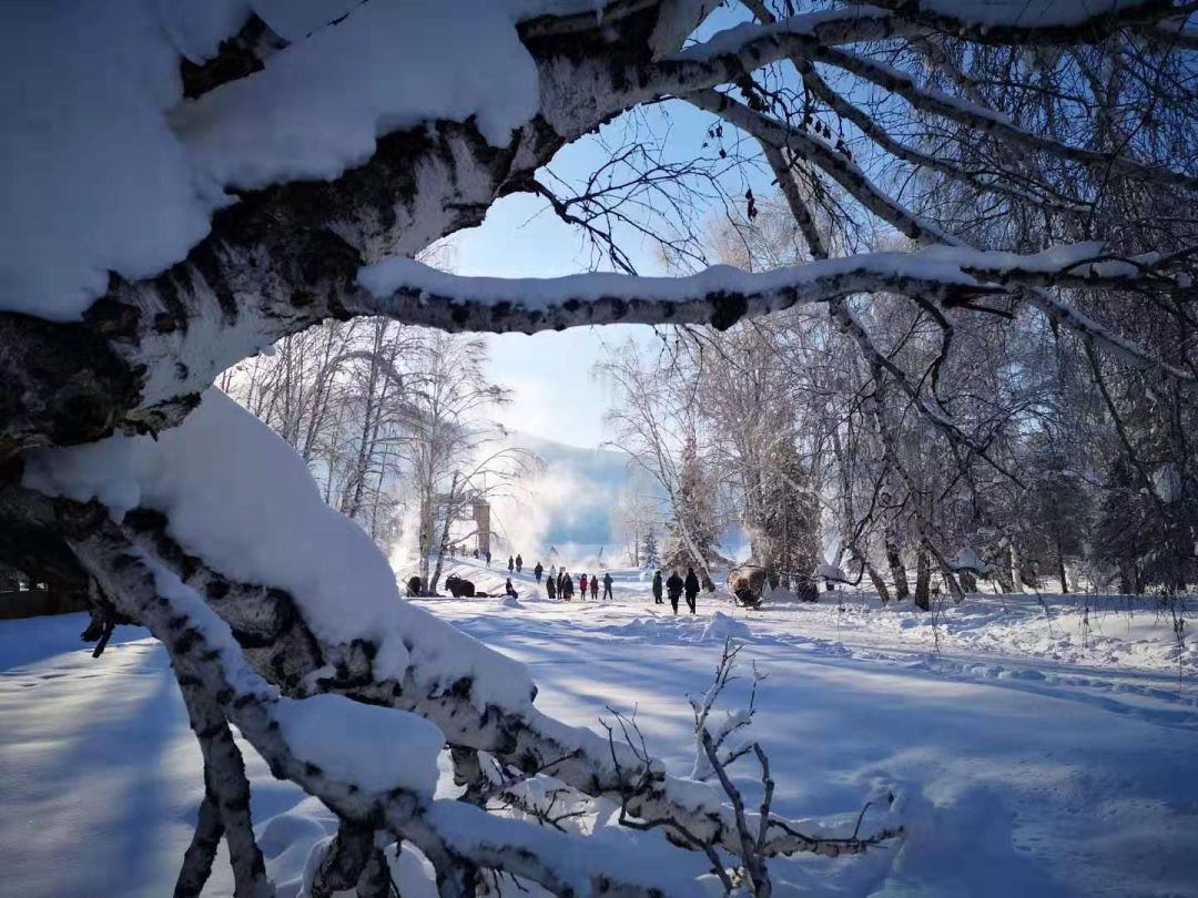 梦见下雪，解读雪中梦境的寓意与心理暗示