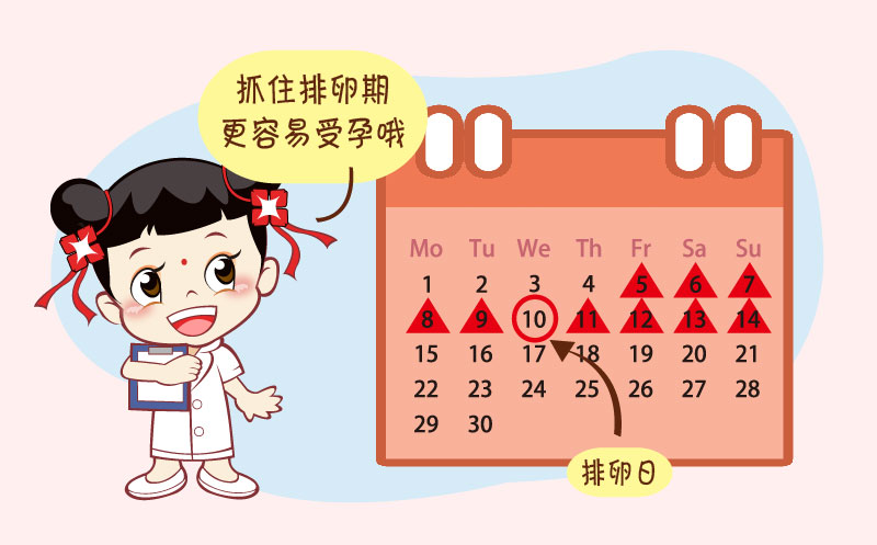 什么时候才会排卵期 3add34f5068b4b3b8177720c459fe48f.jpeg