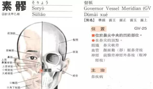 素髎穴:鼻塞,鼻衄,鼻流清涕