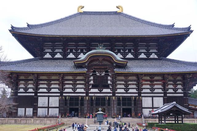 2019日本赏枫攻略:从京都到奈良,从红枫到居酒