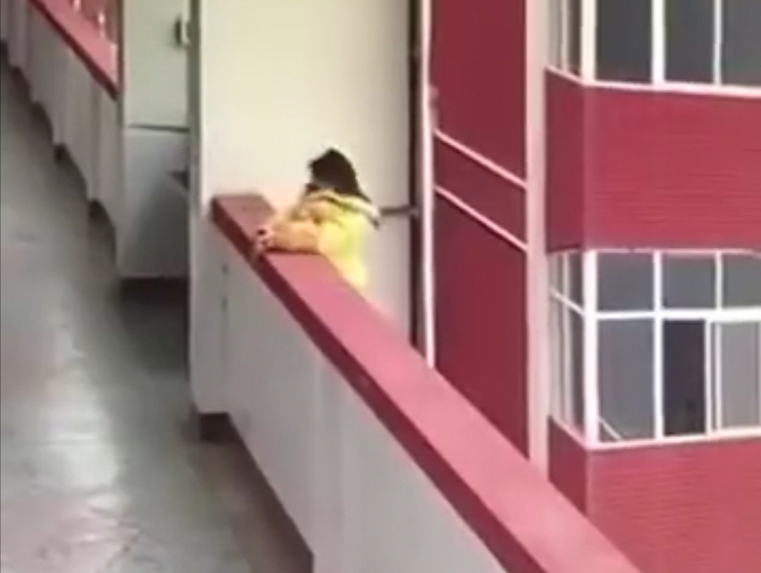 原创河南许昌高一女生因吸烟被抓住，写完说明后从5楼翻越护栏跳下