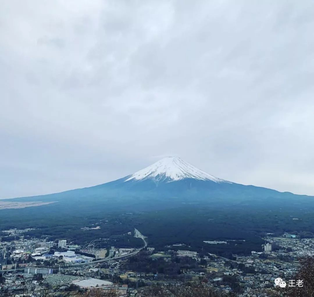 穆斯林人口占世界人口
