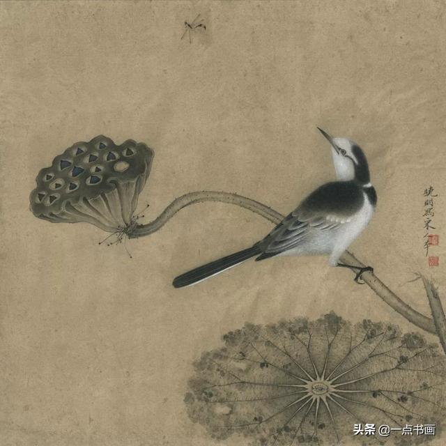玉兰山雀(改编郎世宁)八哥白梅梅竹家雀图翠竹白头图鹌鹑天牛返回搜狐
