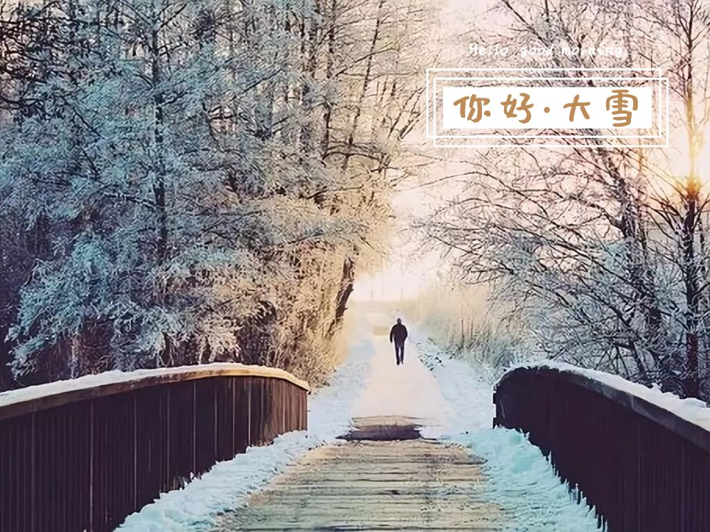 今日大雪:人间至此雪盛时,愿君安康!