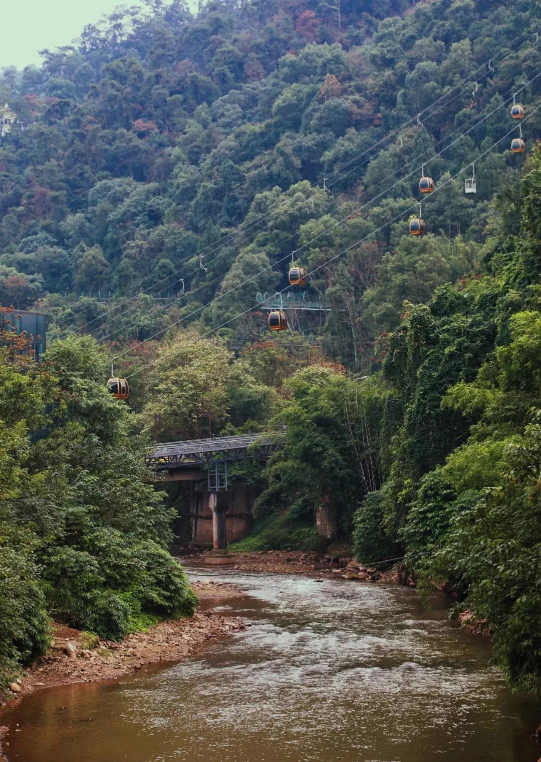 重庆旅游丨巴南有这么多宝藏景点,不愧是主城休闲游的