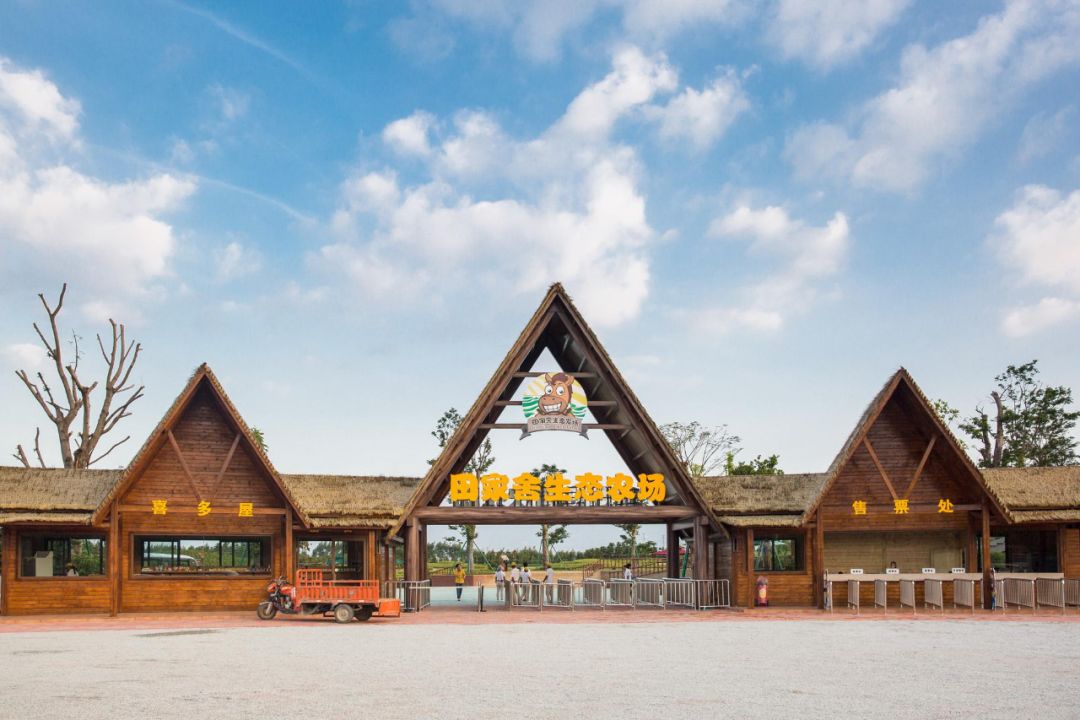 中山高颜值网红酒店,解锁22个网红打卡点,体验音乐恒温泳池,享自助早