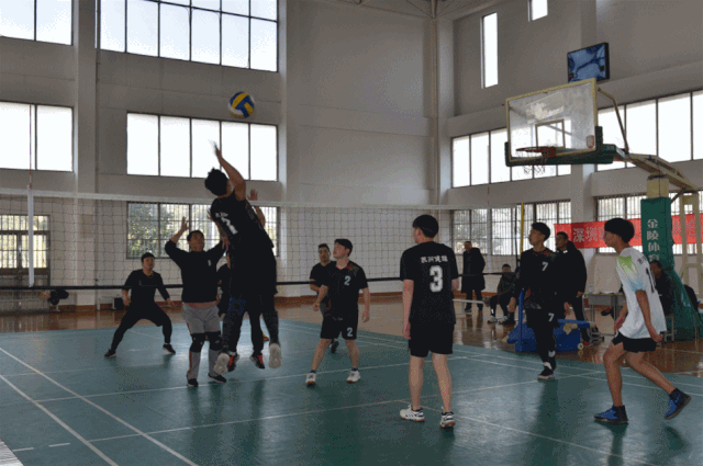 2019年市气排球秋季联赛在健雄!