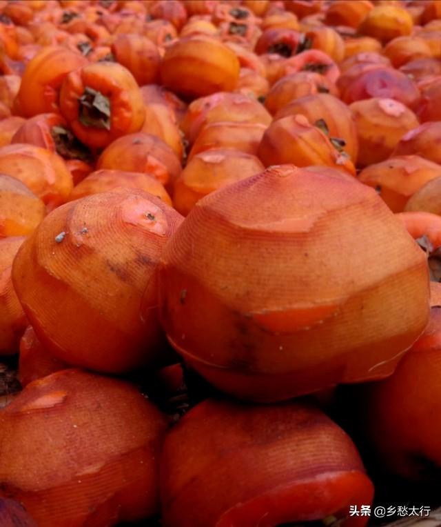 怎么晒柿子饼 be17575c652b42738b54157f7b1265d0.jpeg