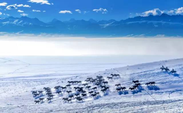 一本书,20天售出10万册!191位摄影师,365幅作品,带你领略极美中国