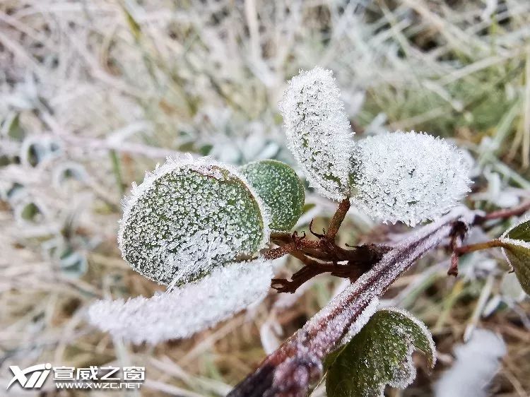 星期天故事:天冷了,我想抱抱你