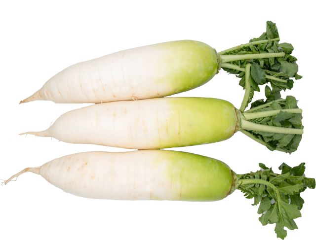 现在可以种大白萝卜吗 d10e73072ab644f79ec7f56a91cba198.jpeg