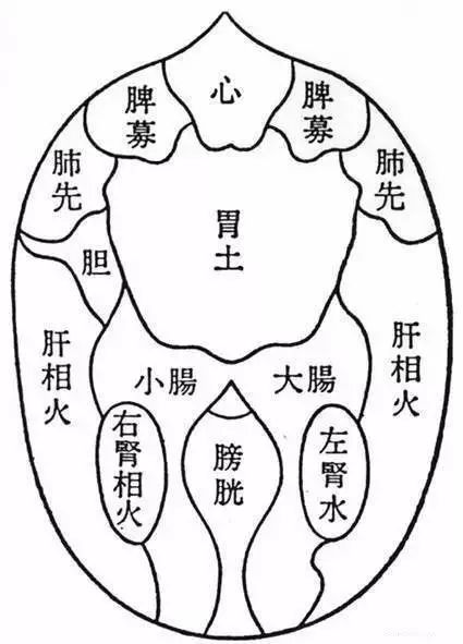 日本人口成分_3d日本人口工漫画