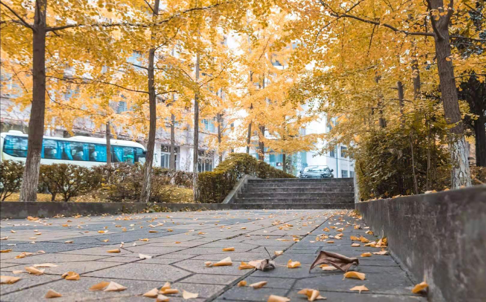 2020艺考四川联考排名_揭秘2020届四川联考现场,原来艺考是这样的!