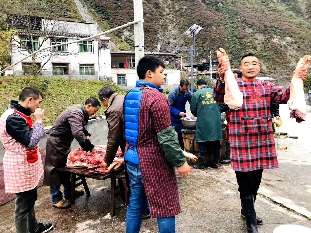 掐指一算,阿坝州这里的杀猪饭开始了!你的乡愁"饿"了吗?