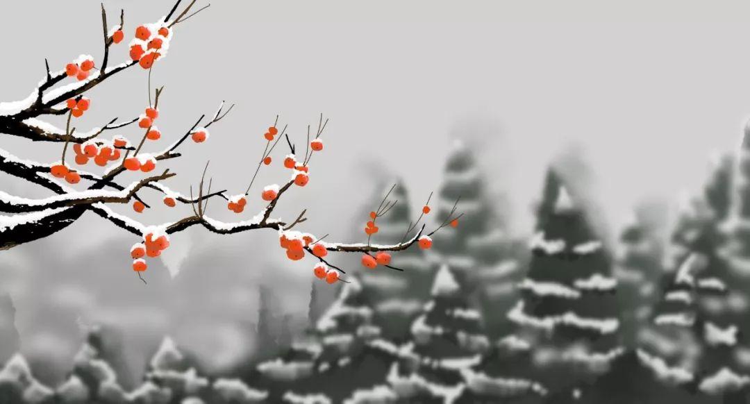 什么雪什么皑成语_雪之下雪乃(2)