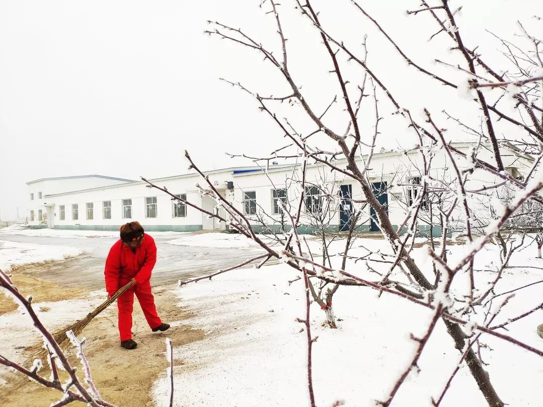 什么树银成语_银钲是什么乐器图片(3)