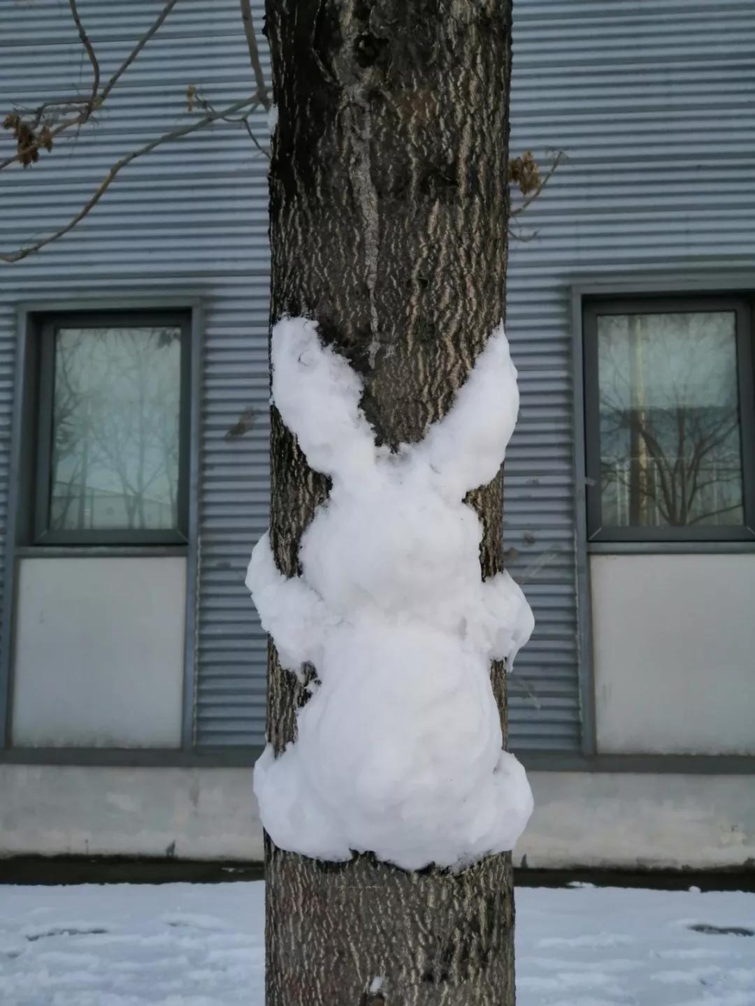 这是雪人还是雪兔? 哦,这是"守株待兔"里的那只白兔!