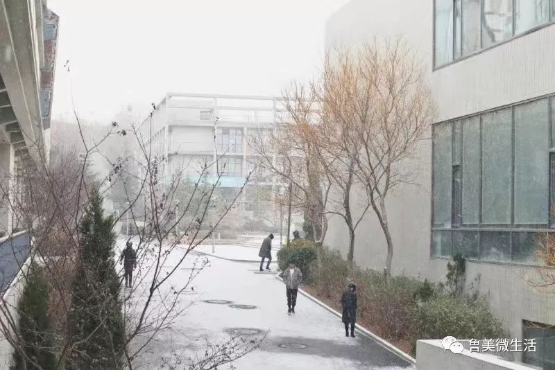 大鲁美 首先 大连校区坐拥国家5a风景区 风景优美 气候宜人 沈阳校区