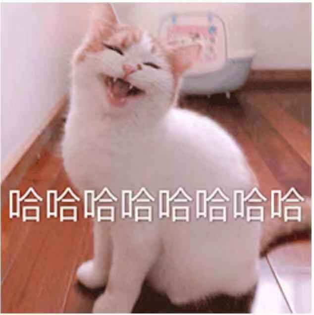 0f9c6c18a72c41769e37baca1c892c12.jpeg