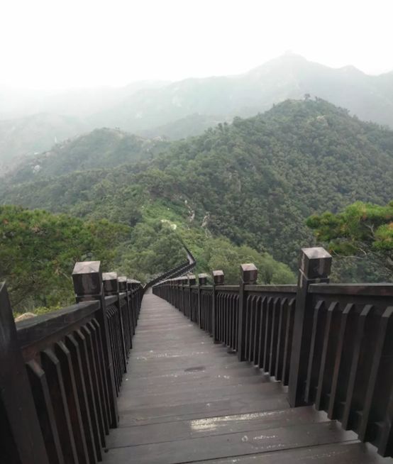 里口山登山健身步道成长记