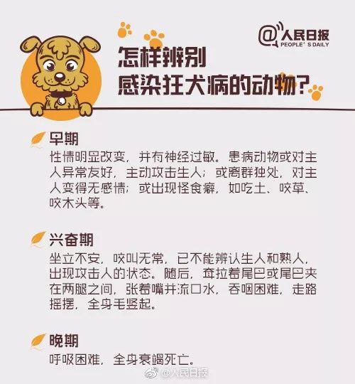 【可怕】被愛犬舔了一口，死了！病因竟不是狂犬病… 寵物 第21張