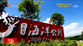 秒拍超震撼gdp动态演变_汉字的演变过程(3)
