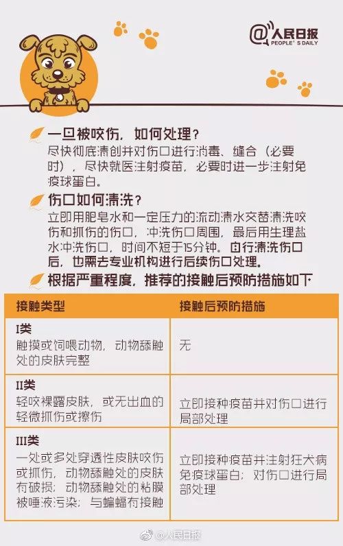 【可怕】被愛犬舔了一口，死了！病因竟不是狂犬病… 寵物 第18張