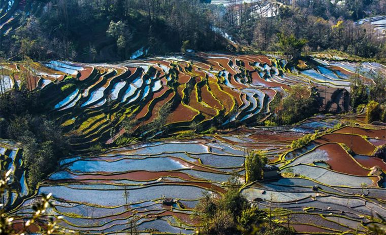 【春节6日】蒙自‖《芳华》拍摄地碧色寨,云阳梯田,建水古城,南湖公园