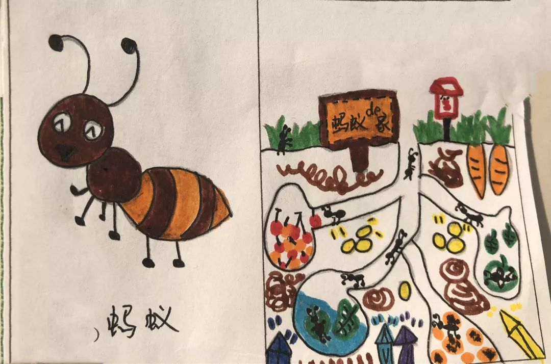 蚯蚓的家在洞洞里,蚯蚓的家是很窄很深的.