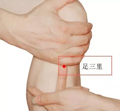 足三里穴