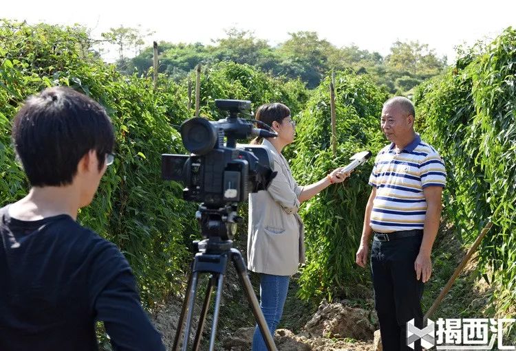 凤江镇多少人口_揭西县凤江镇林厝寮村(3)