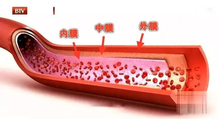 血管内皮天然抗凝血!黄芪配它煮水喝,补气活血,远离心梗威胁!