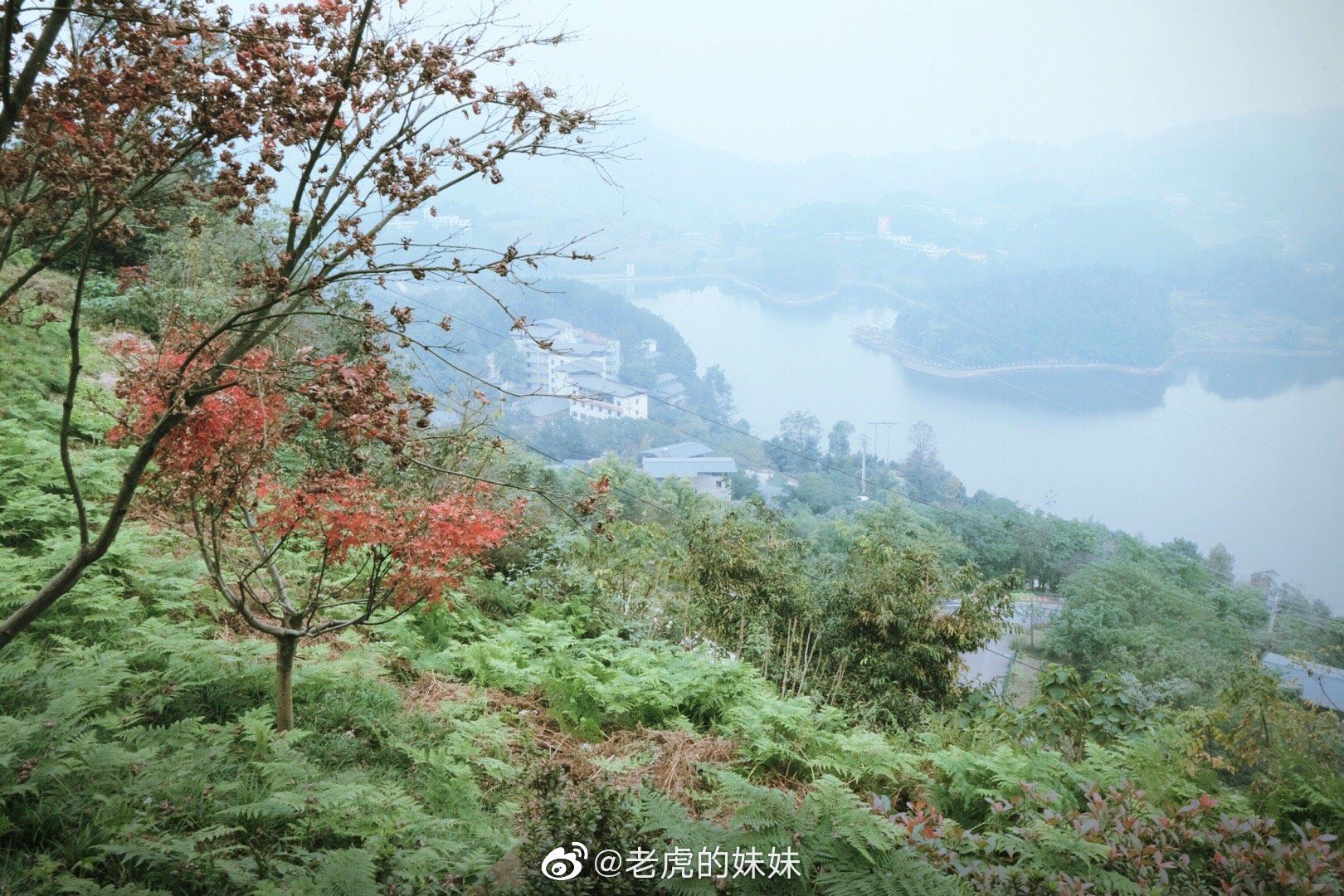 重庆巴南三日游攻略-重庆人都不知道的宝藏之地