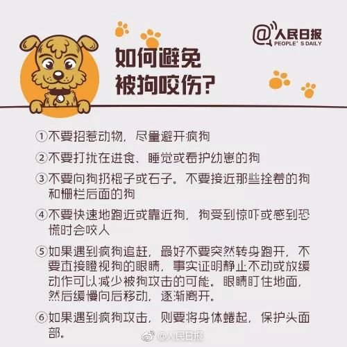 【可怕】被愛犬舔了一口，死了！病因竟不是狂犬病… 寵物 第22張