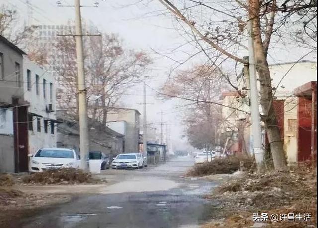 尚集镇人口_尤集镇解圩小学生图片(2)