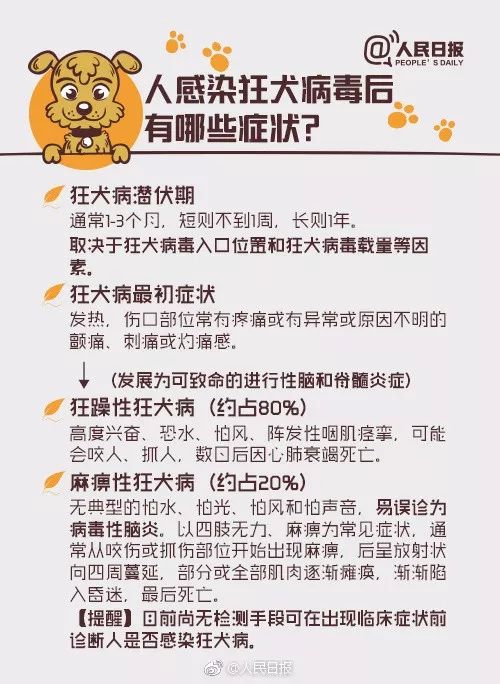 【可怕】被愛犬舔了一口，死了！病因竟不是狂犬病… 寵物 第17張