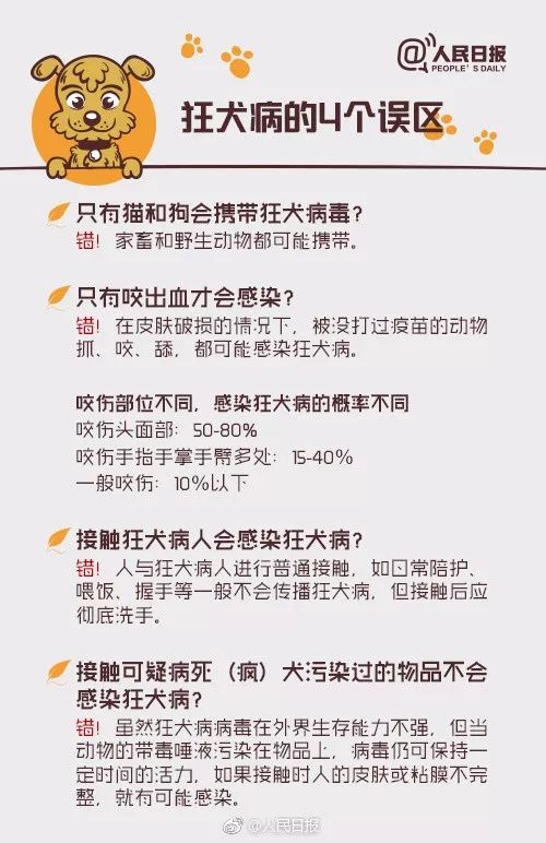 【可怕】被愛犬舔了一口，死了！病因竟不是狂犬病… 寵物 第19張