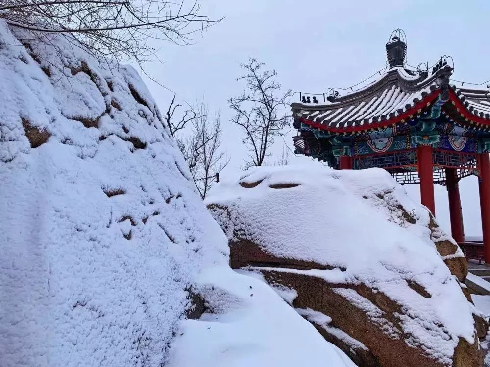 不凛冽似是等着那有情人前来相会文中图片由摄影师卞新亮,蒋鹏,肖宏阳