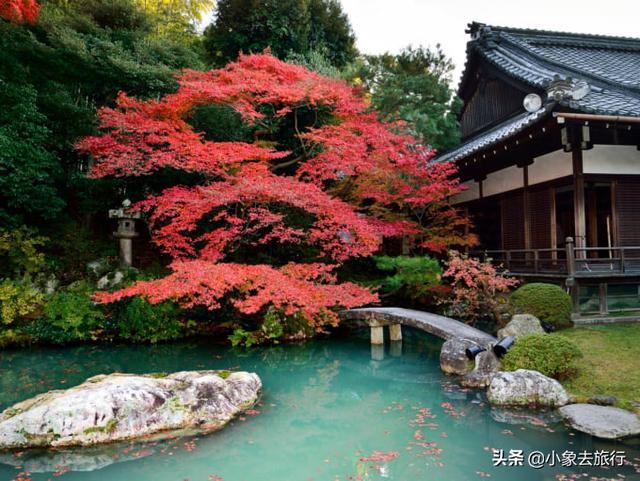 日本京都旅游看这里,详细知名景点大全(一)